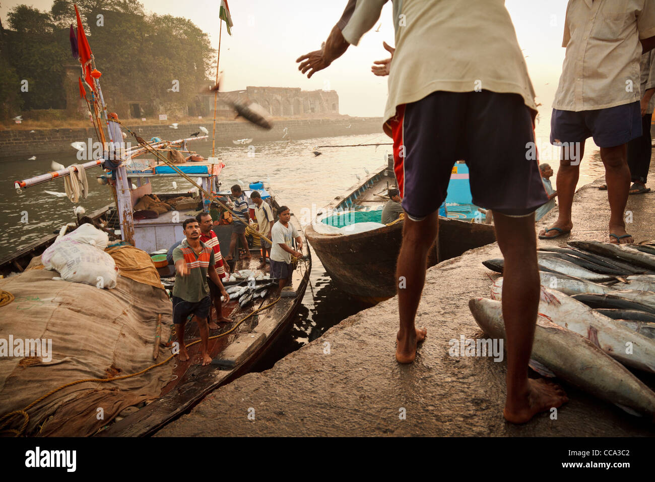 Von einem Fischerboot an Sassoon Docks entladen wird Fisch Markt, Mumbai-Bombay Stockfoto