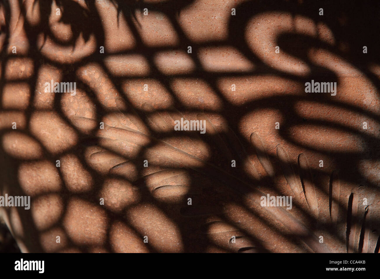 Sommer Schatten auf roten Terrakotta Stockfoto