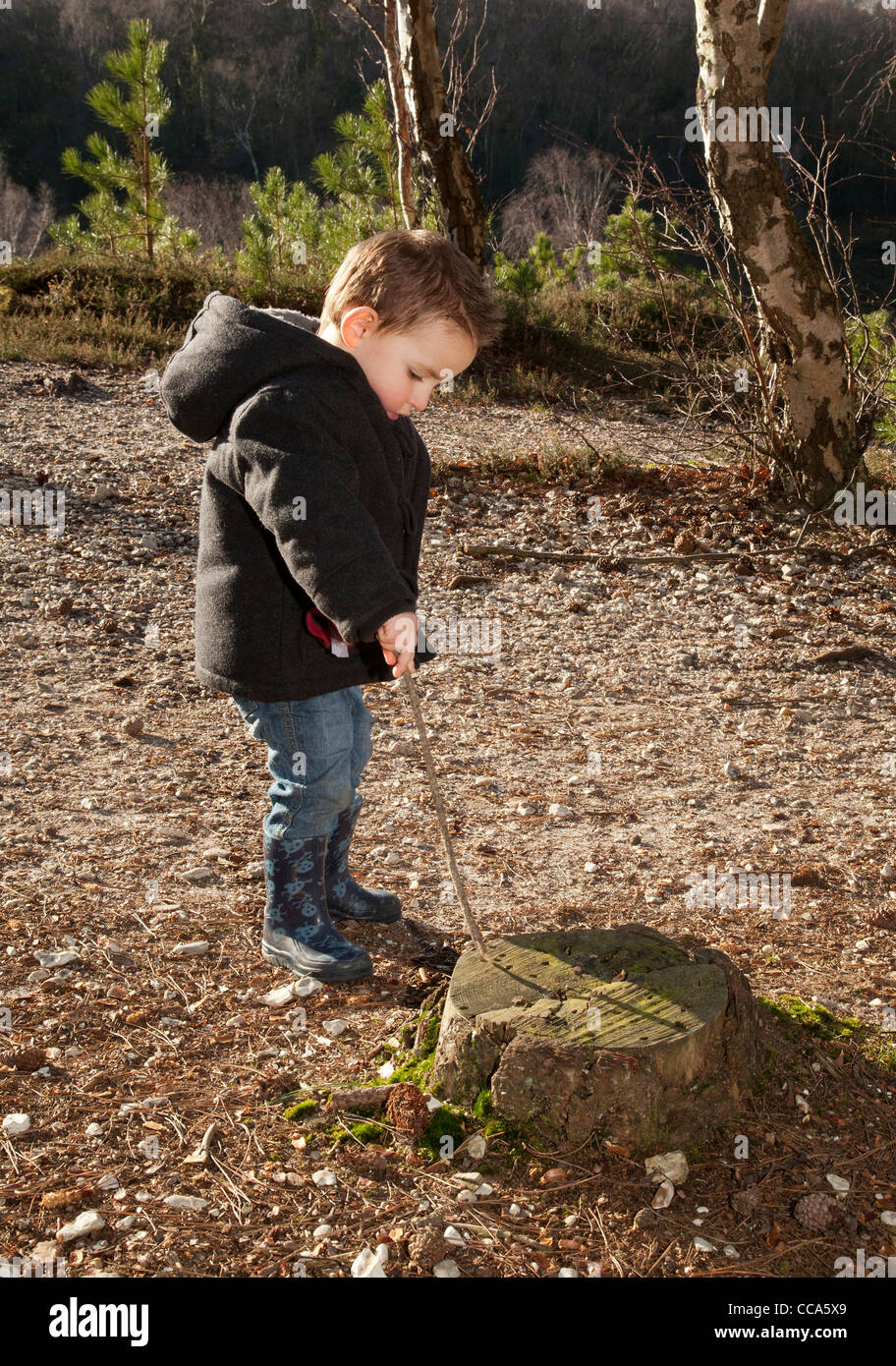 kleiner Junge mit einem Stock spielen lernen durch Entdeckung und draußen in den Wäldern Spaß erleben Stockfoto