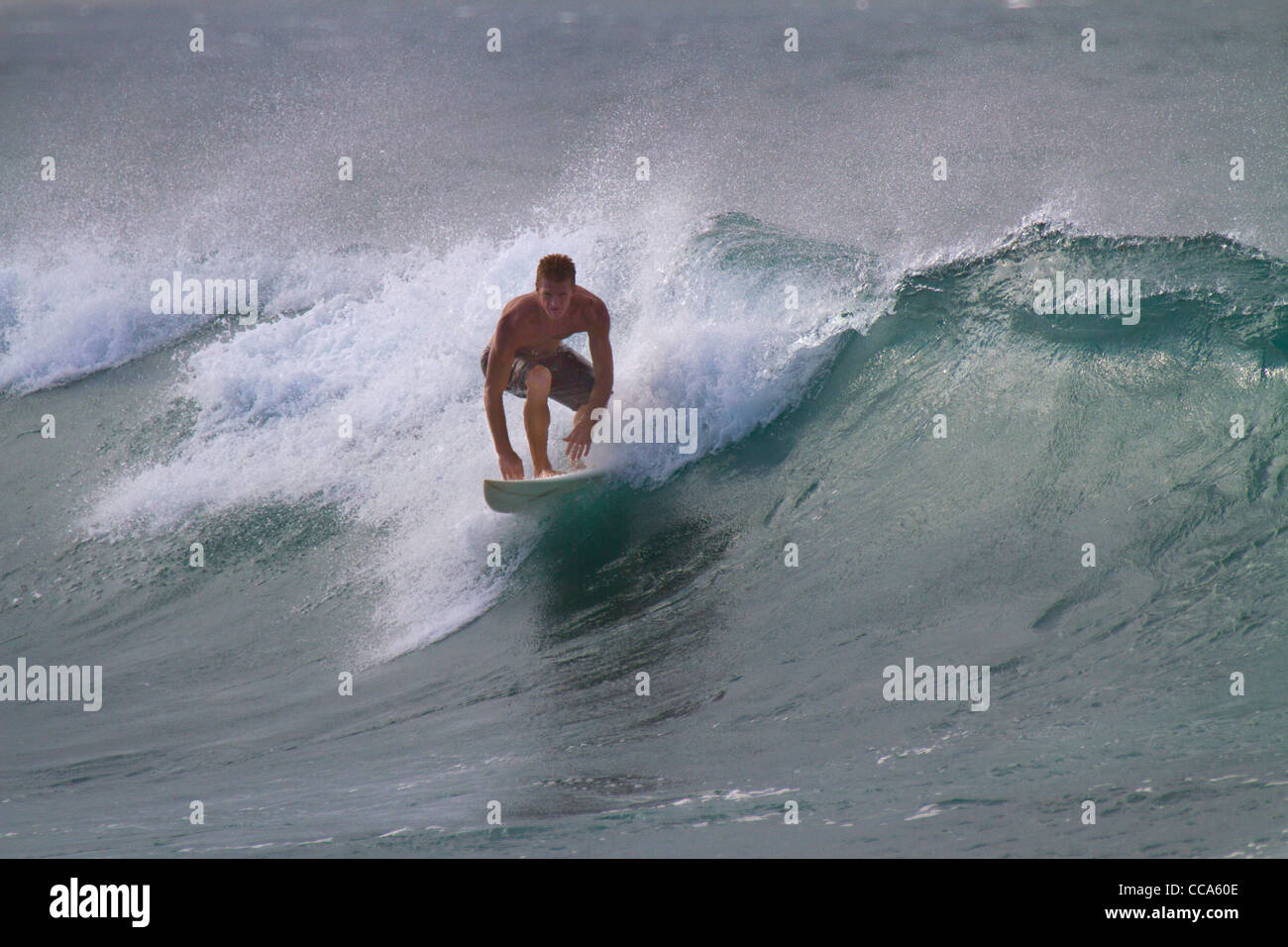 Surfer am Ho'okipa Beach, Maui, Hawaii. Stockfoto