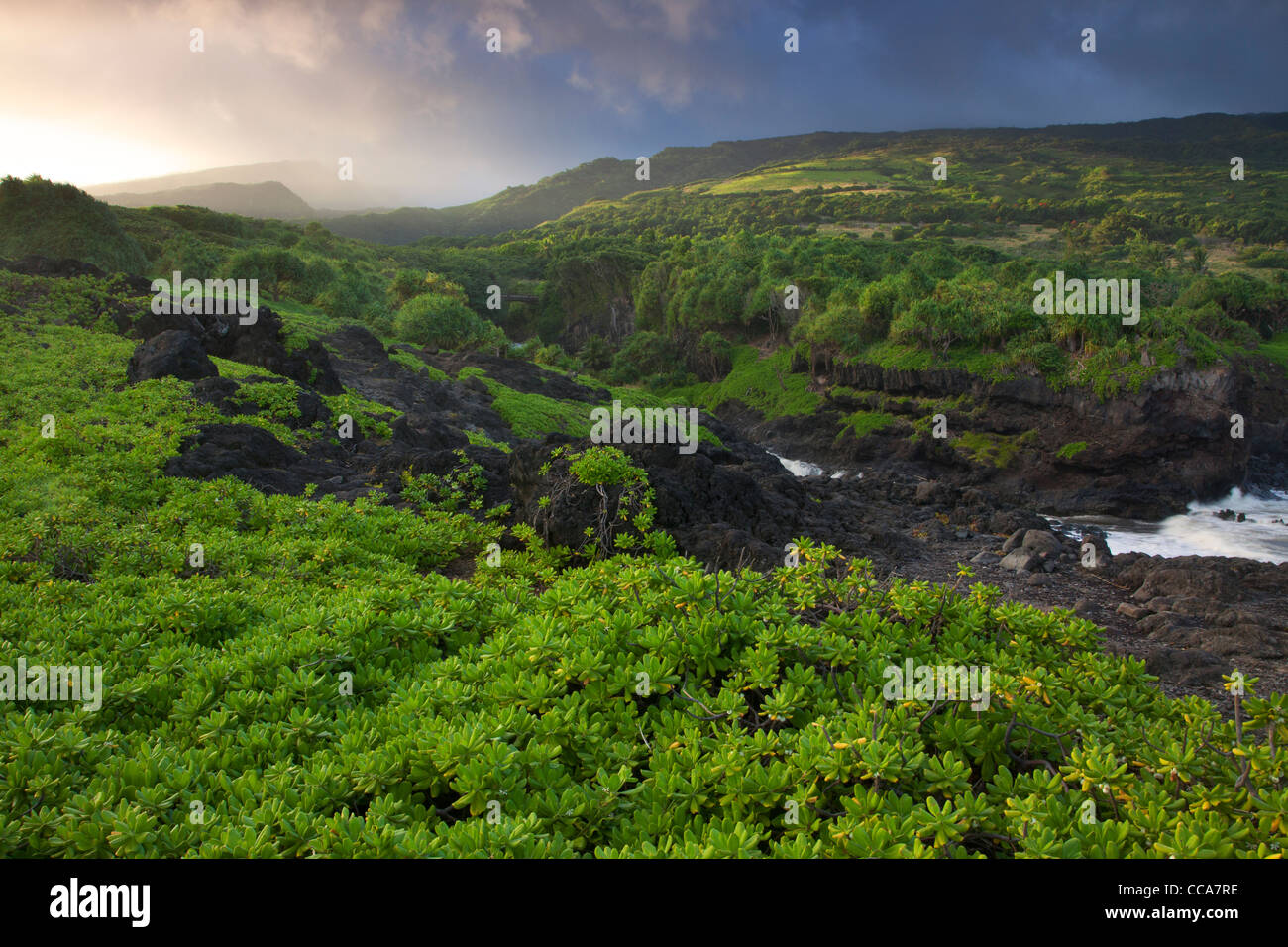 Ohe Gulch - aka sieben Sacred Pools, Haleakala National Park, in der Nähe von Hana, Maui, Hawaii. Stockfoto