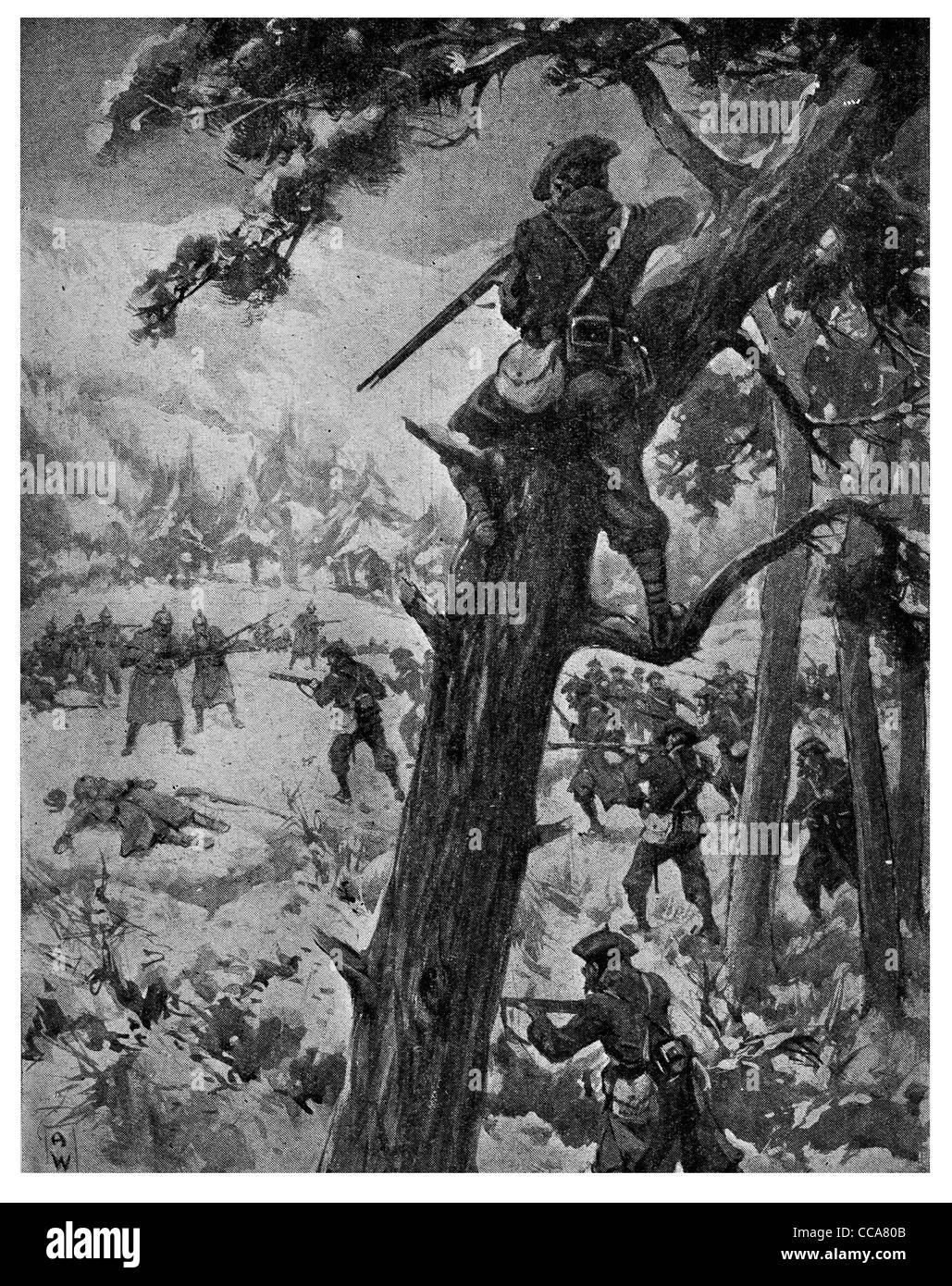 1915 Alpine Chasseurs Blue Devils Wald Baum oben kämpfen Winter Schnee kalt Tarnung Scharfschützen Gewehr Pistole französischen Mountain pine Stockfoto