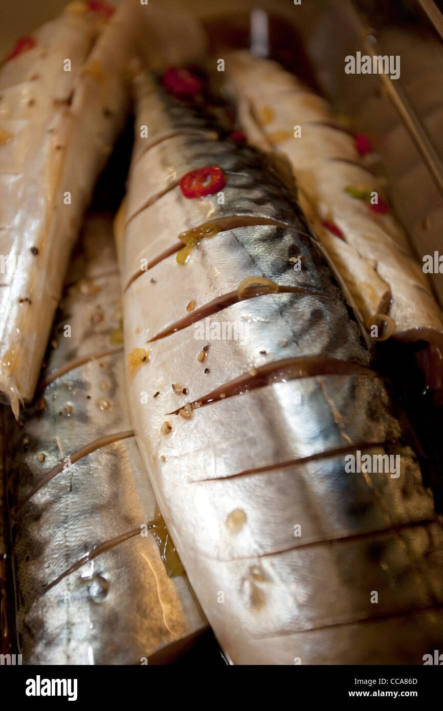 Makrele, gewürzt und bereit für das Kochen Stockfoto