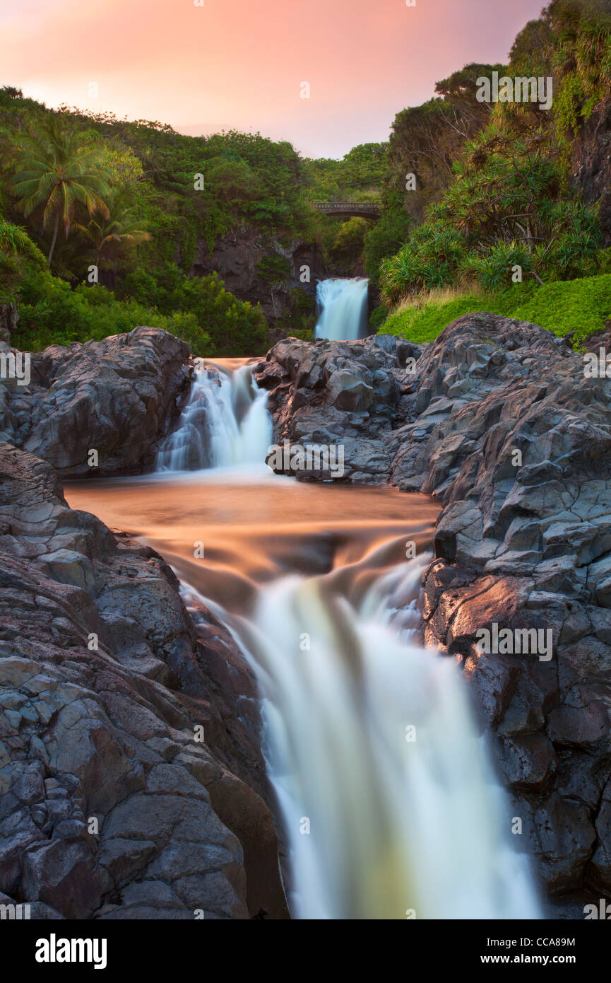 Ohe Gulch - aka sieben Sacred Pools, Haleakala National Park, in der Nähe von Hana, Maui, Hawaii. Stockfoto