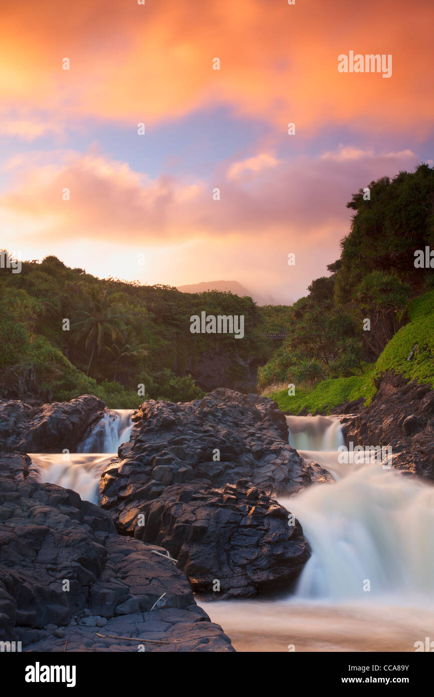 Ohe Gulch - aka sieben Sacred Pools, Haleakala National Park, in der Nähe von Hana, Maui, Hawaii. Stockfoto