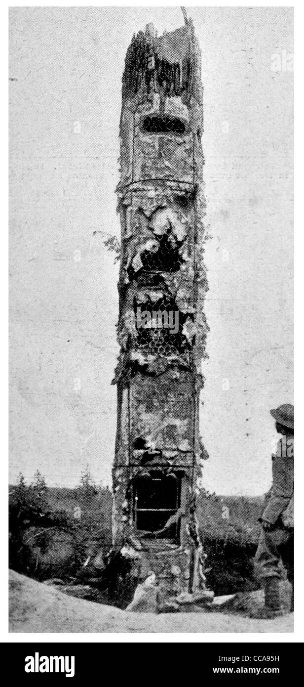1917 Beobachtungsposten Tarnung Baum vorwärts Operationen getarnt Aufklärung Frontlinie LKW verbündet Stockfoto