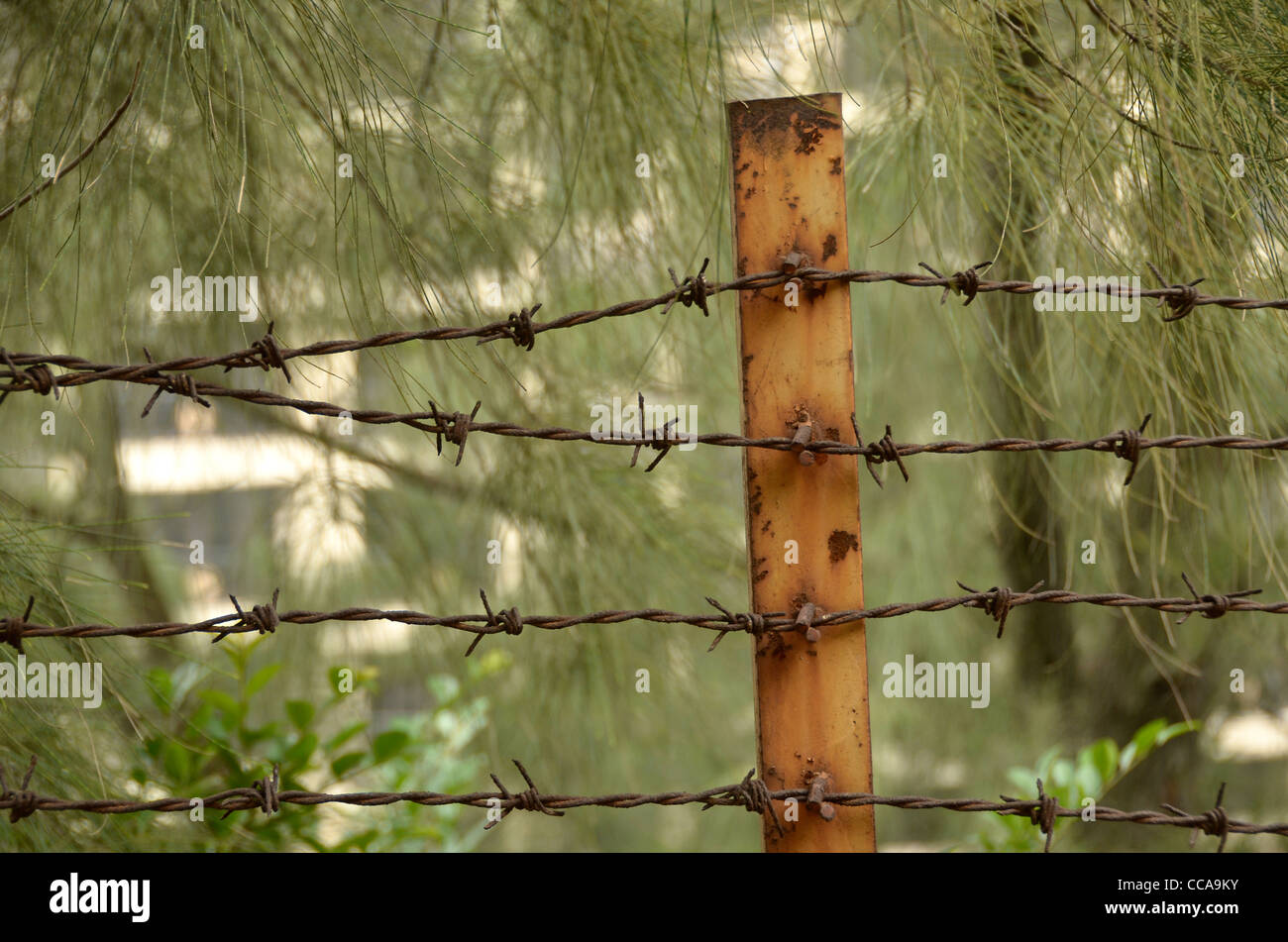 Stacheldraht und Post. Stockfoto