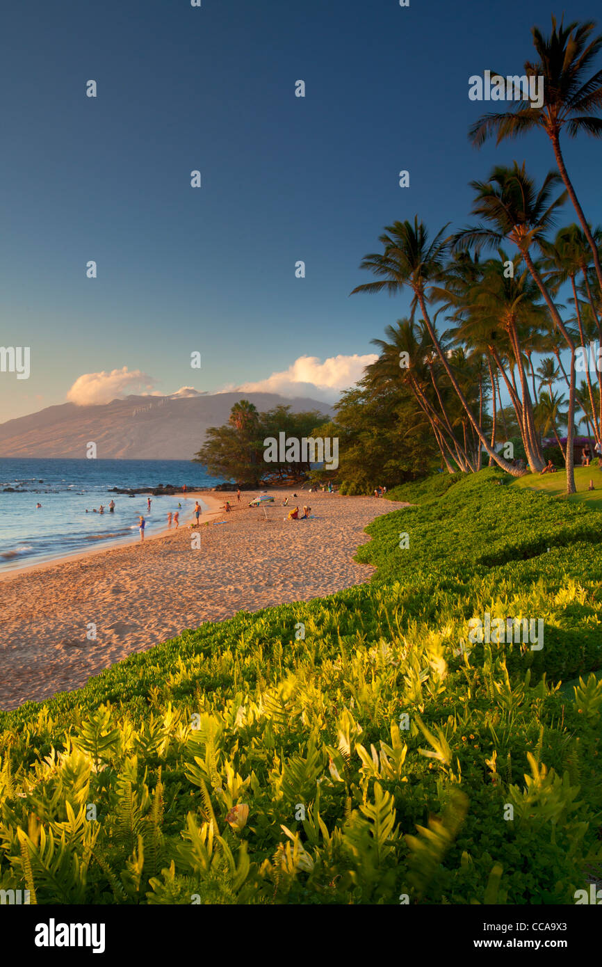 Ulua Beach, Wailea, Maui, Hawaii. Stockfoto