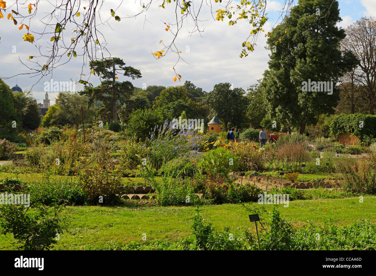 Jardin des Plantes, Paris Stockfoto