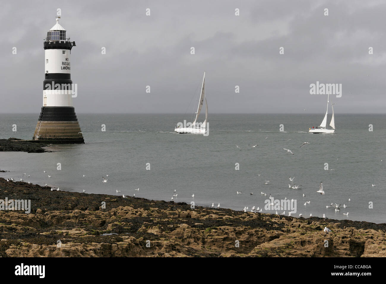 Beiden Rennyachten vorbei Trwyn Du Leuchtturm am Penmon, Anglesey, North Wales, UK Stockfoto