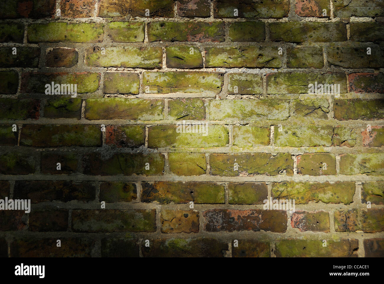 Rustikale Ziegel Wand raue Oberfläche Stockfoto