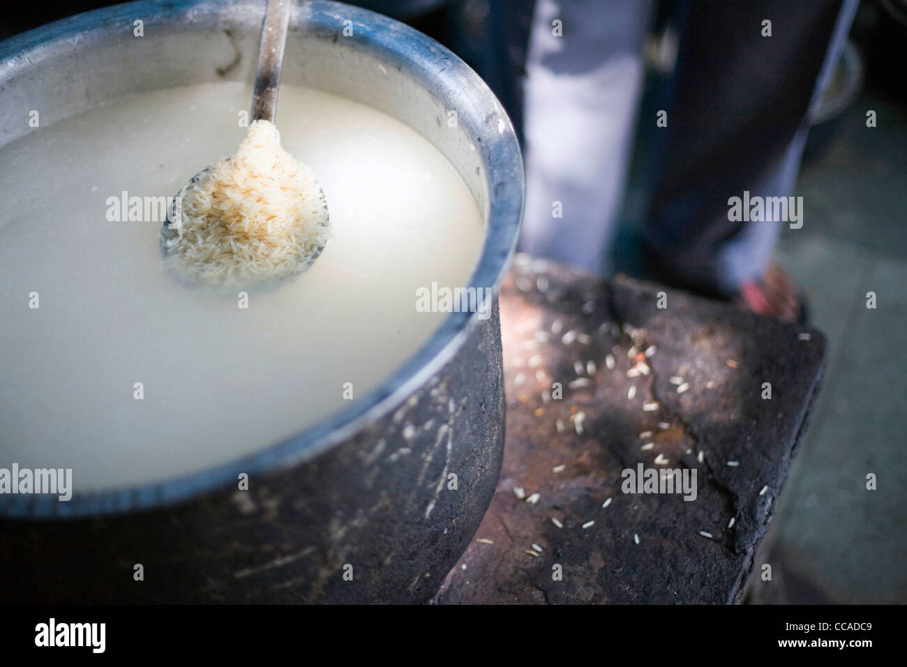 Ein Koch-Test den Reis in eine Biryanai im Babu Shahi Bawarchi, New Delhi, Indien Stockfoto