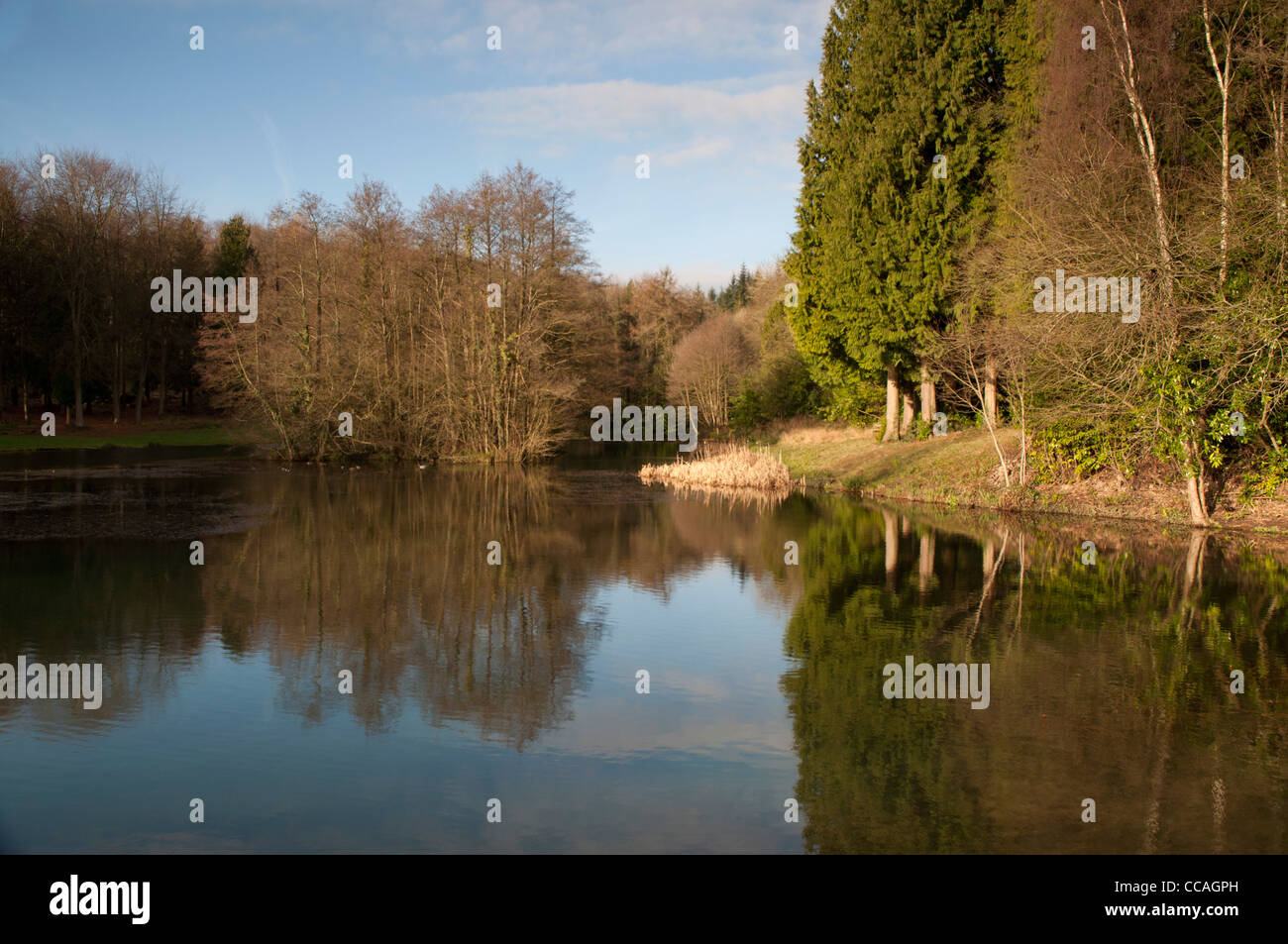 Forellensee-Angeln in Waldlandschaft im sonnigen Winterwetter Stockfoto