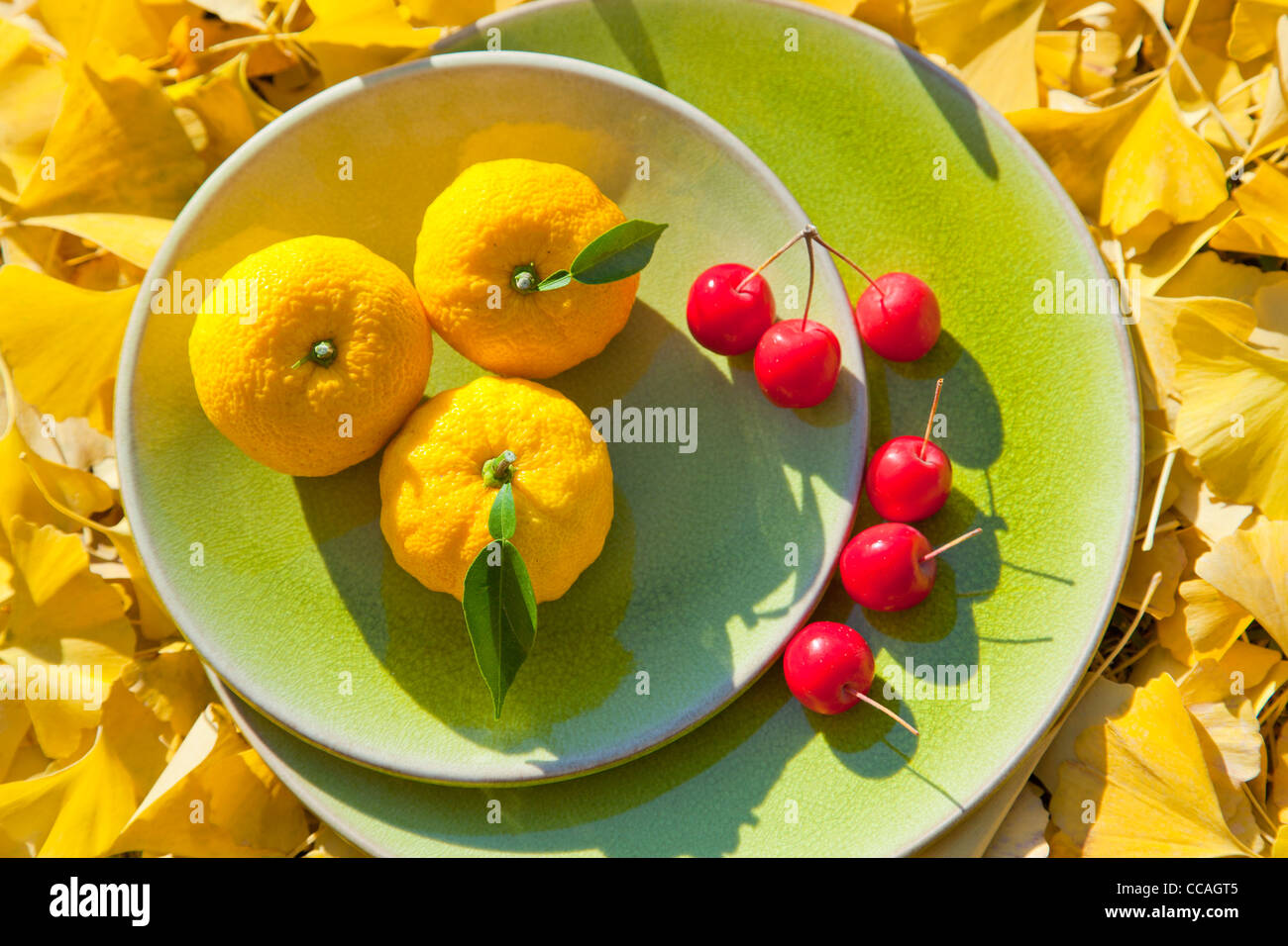 Früchte in der Schüssel Stockfoto