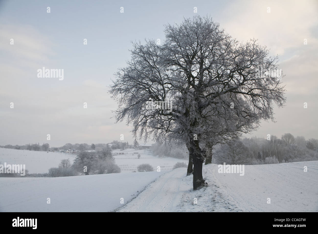 Verschneite Winterlandschaft des ländlichen Raums Stockfoto