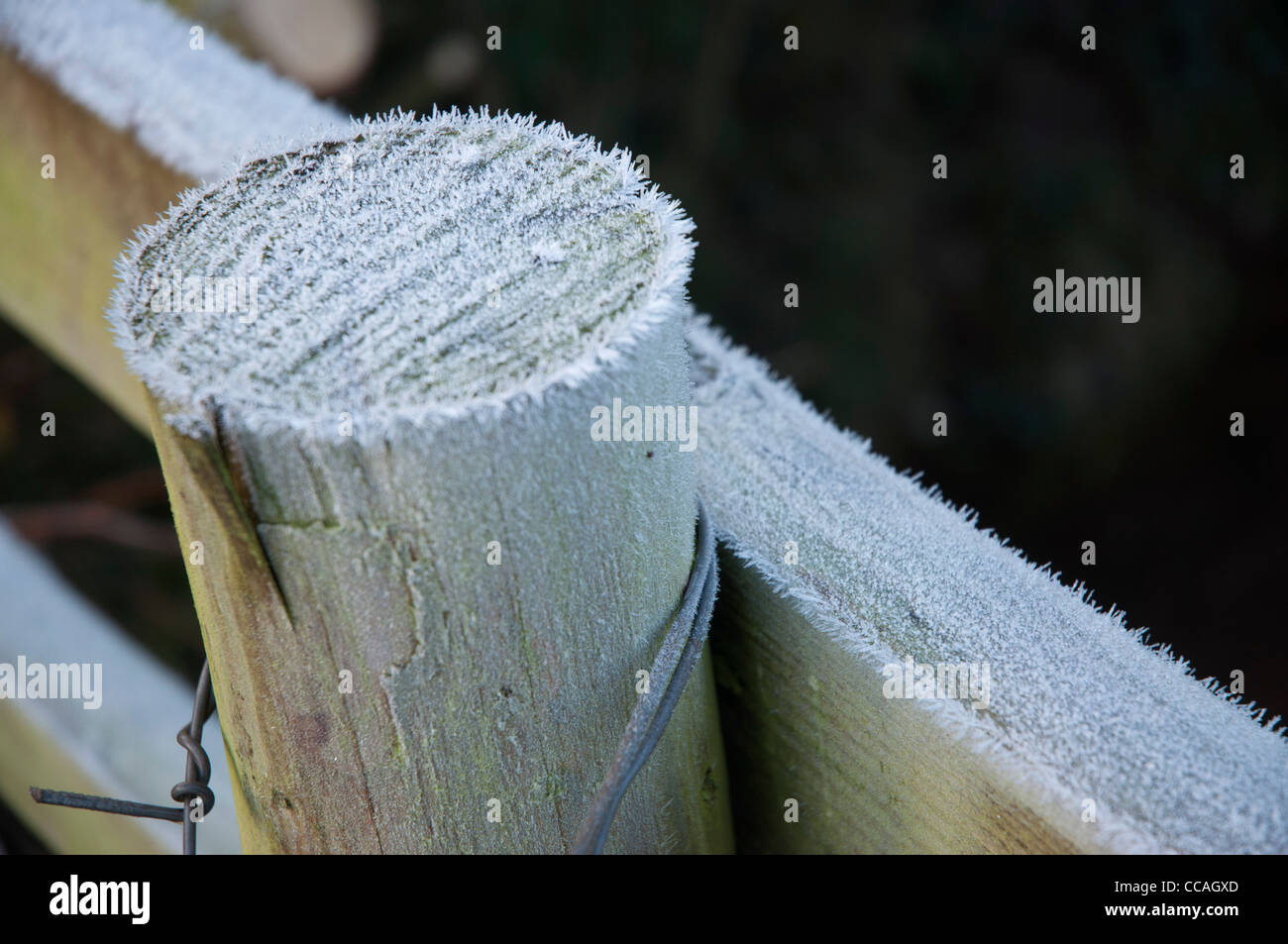 Frost bedeckt Holzzaun Pfosten-Riegel in enger Stockfoto