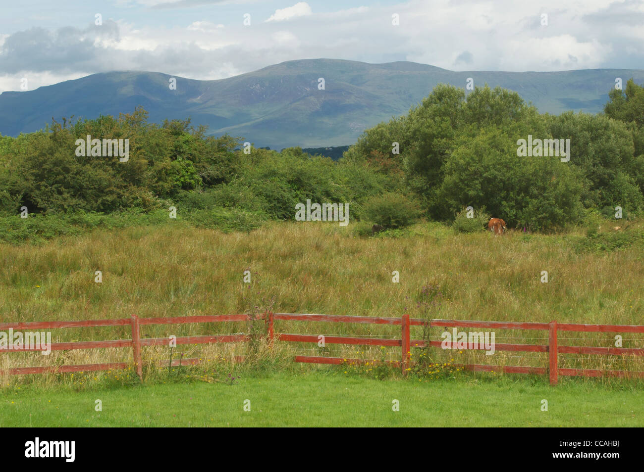 Landschaft in County Kerry, Irland Stockfoto