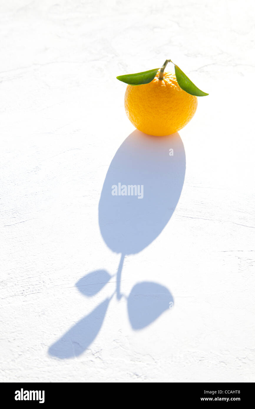 Orange und seine Schatten Stockfoto
