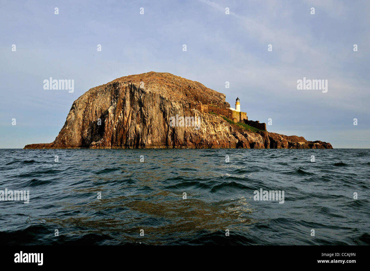 Der Bass Rock, Firth of Forth Stockfoto