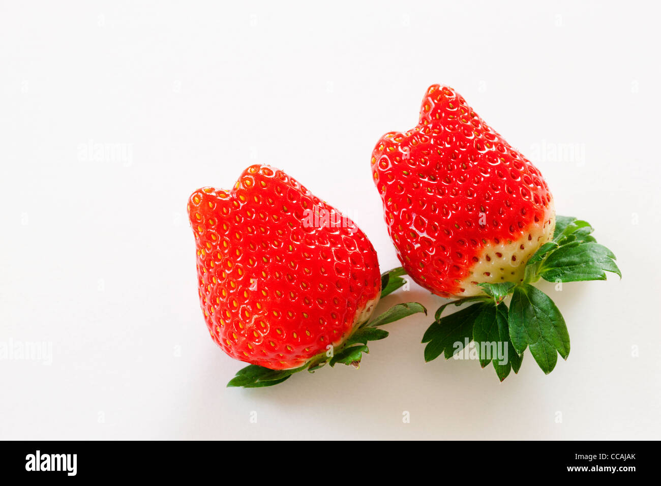 Zwei Erdbeeren Stockfoto