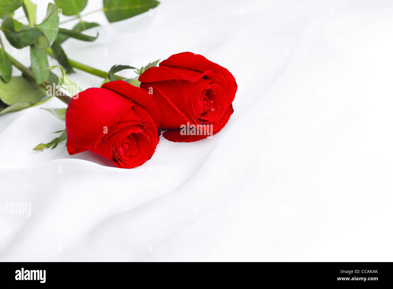 Rote rose Blume auf weiche Seide, romantischen Traditionen. Stockfoto