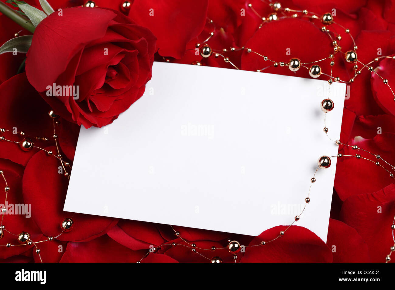 Leere Karte und Perlenschnur auf Rosenblättern Stockfoto