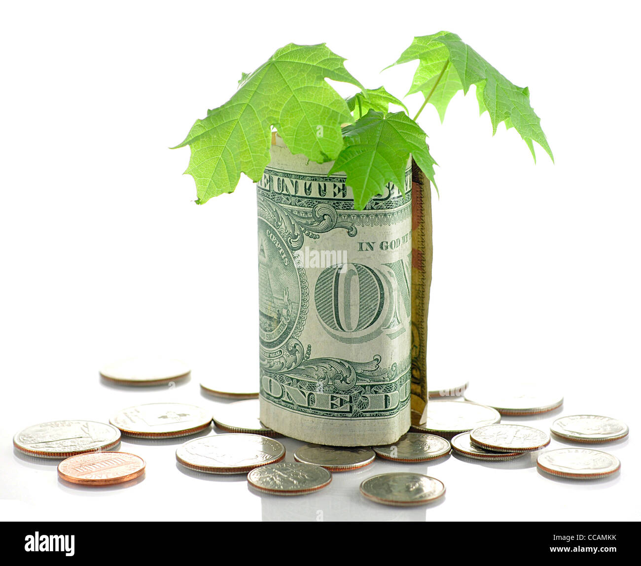 amerikanisches Geld mit kleiner Baum Stockfoto