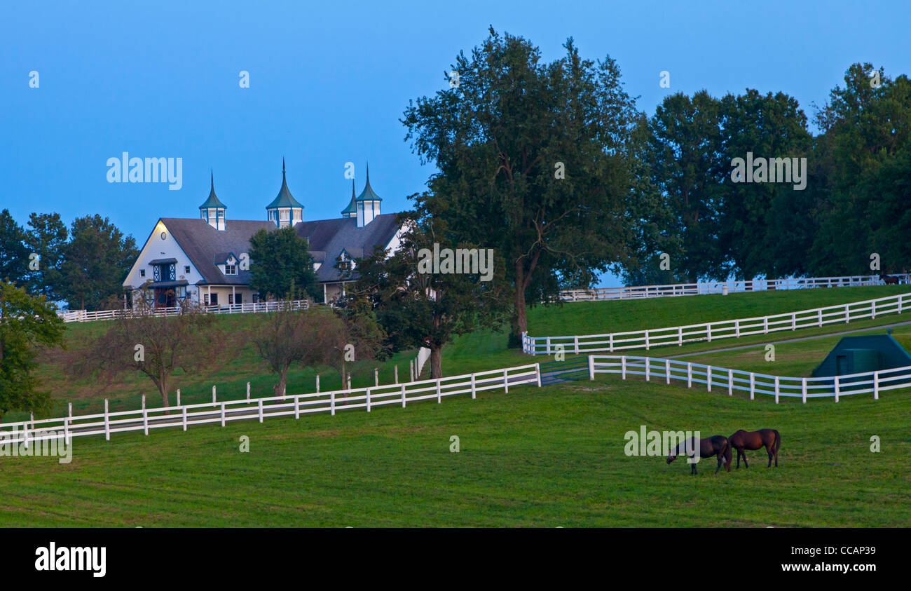 Abend auf einer Pferdefarm Stockfoto