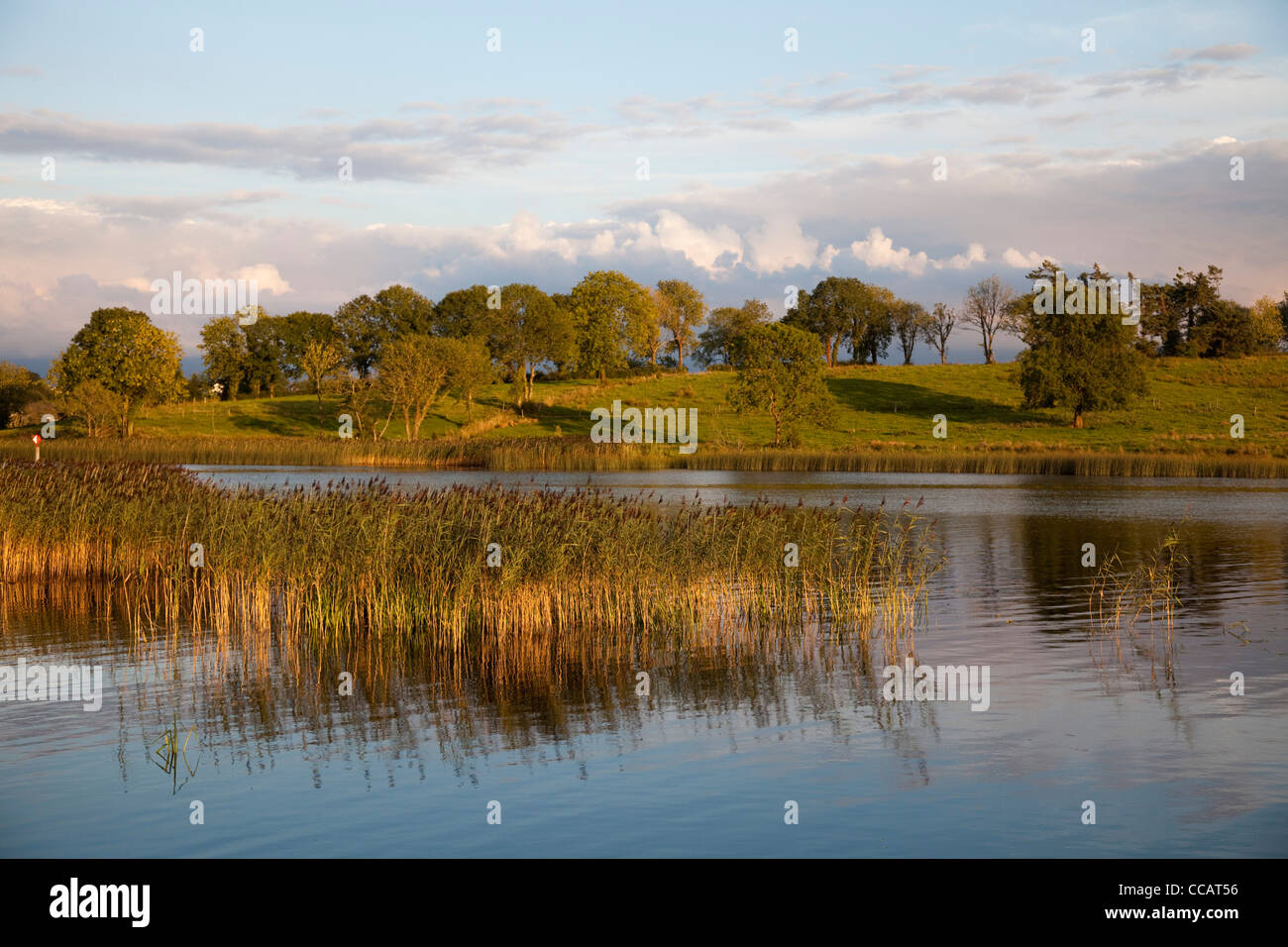 Ruhiger Abend entlang des Flusses Shannon, in der Nähe von Carrick on Shannon, County Leitrim, Irland. Stockfoto