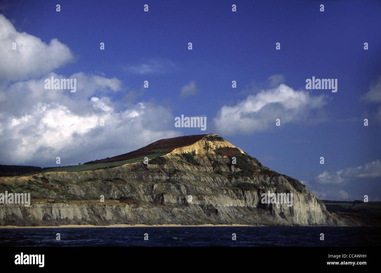 Golden Cap mit Sandstein und blaue Lias Ton Schichten, Jurassic Coast, Dorset, Südwesten von England. Stockfoto