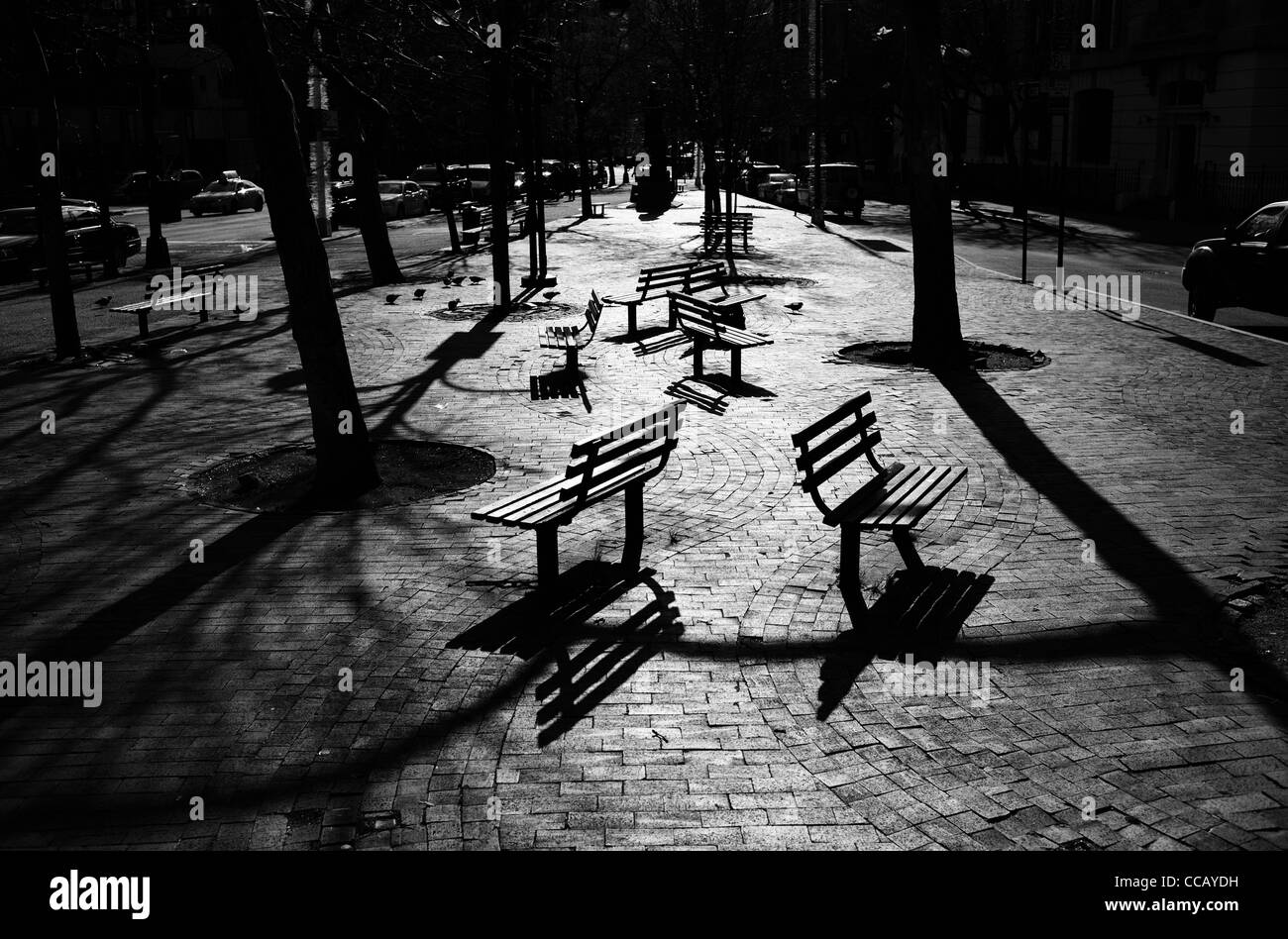 4. Januar 2012: Bilder von Parkbänken in Charlton Street Park in der Innenstadt, New York City, USA. Stockfoto