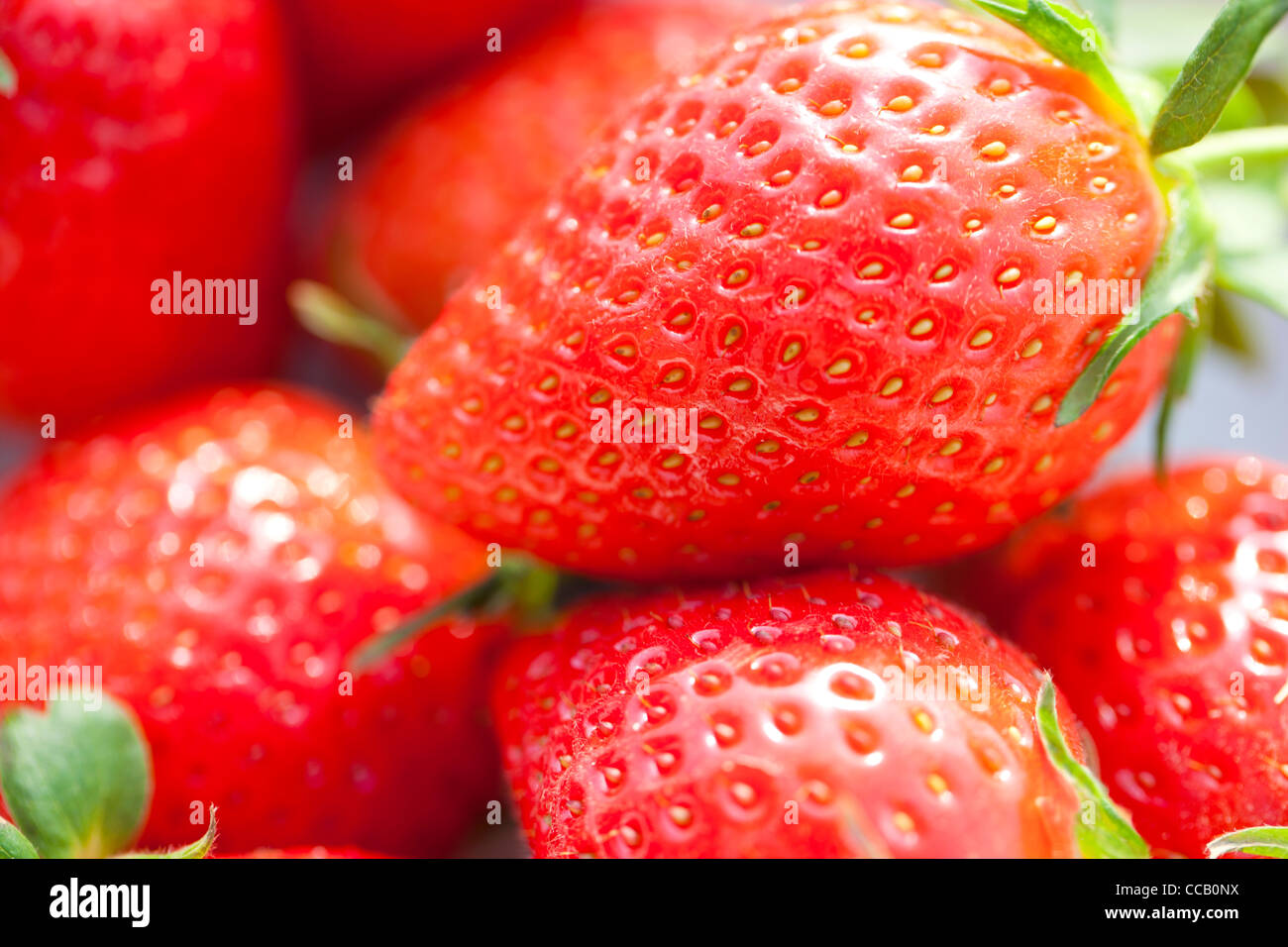 Erdbeeren Stockfoto