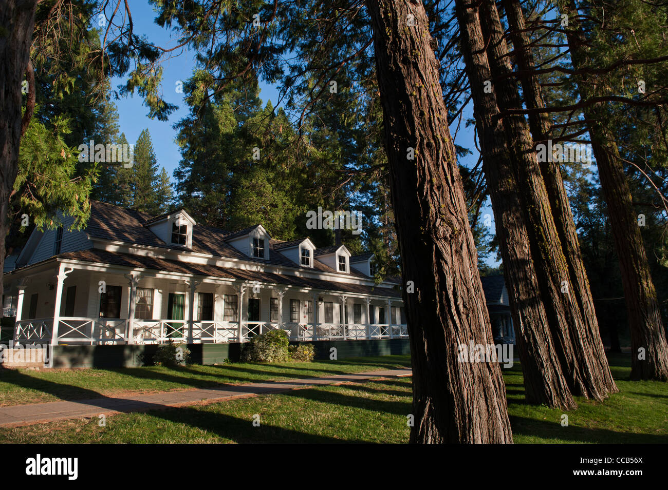 Big Trees Lodge, ehemals das wawona Hotel. Yosemite National Park. Kalifornien. USA Stockfoto