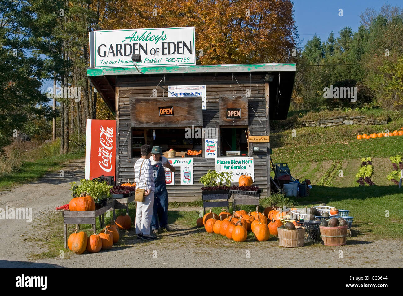 Eden-Vermont Bauernhof stehen Kürbisse für Verkauf Stockfoto