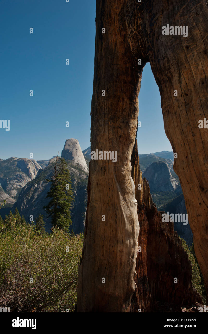 Half Dome betrachtet von der Panorama-Trail Glacial Ausgangspunkt. Yosemite-Nationalpark. Kalifornien. USA Stockfoto
