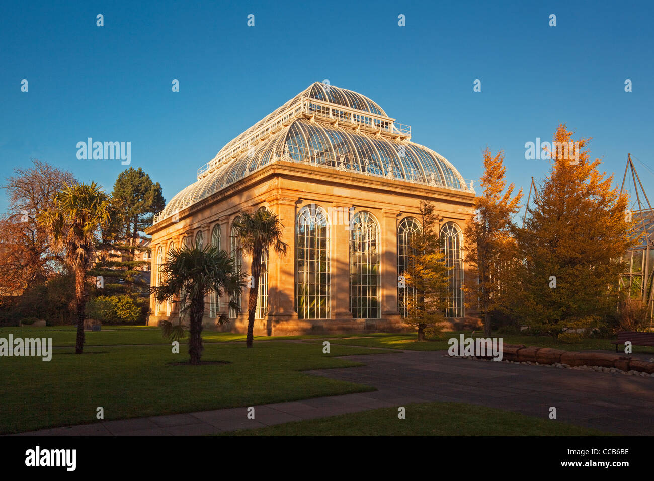 Das Palm House, Royal Botanic Garden Edinburgh Stockfoto