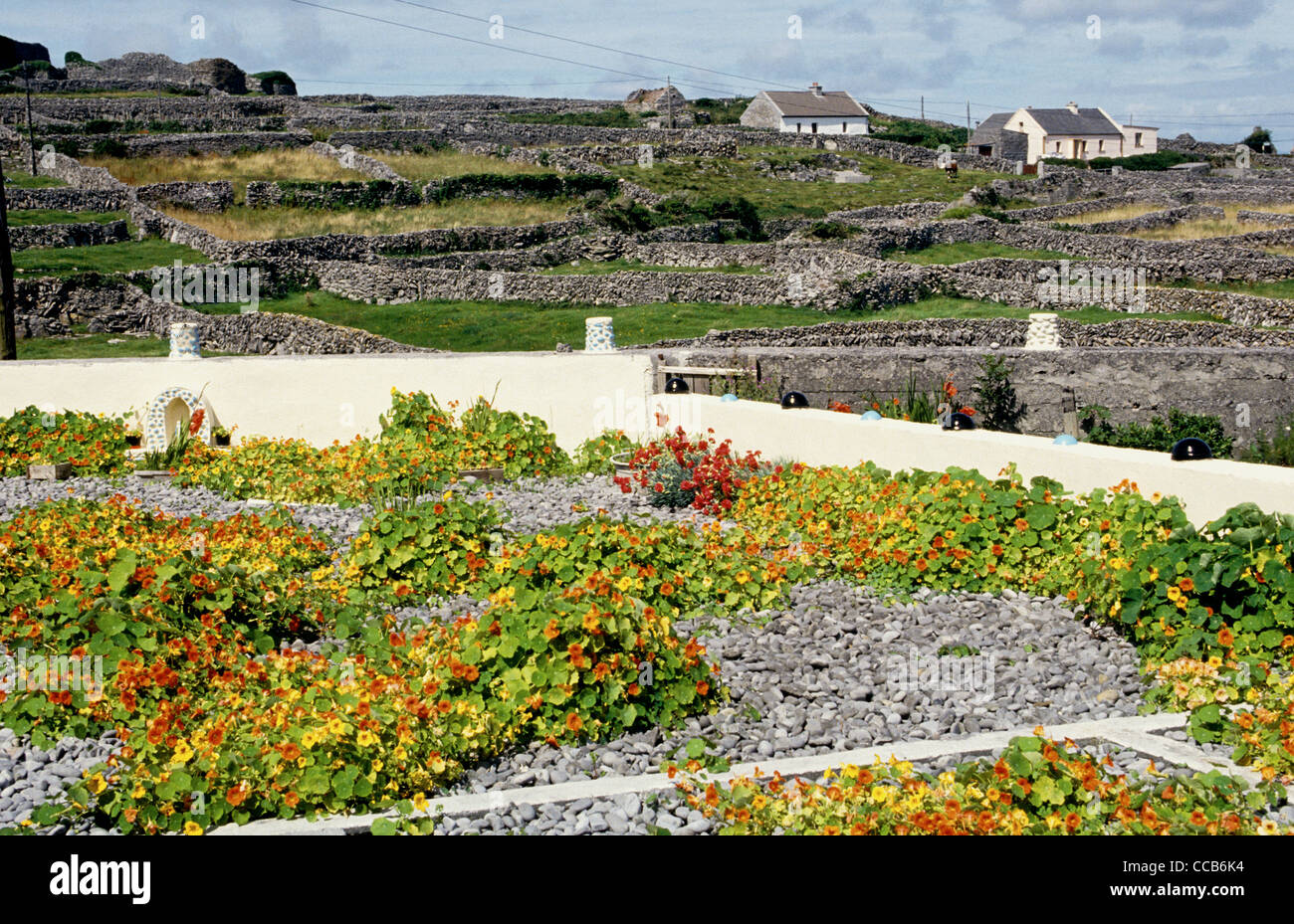 Ein Garten mit Blumen auf den Aran-Inseln Co Galway Irland Stockfoto