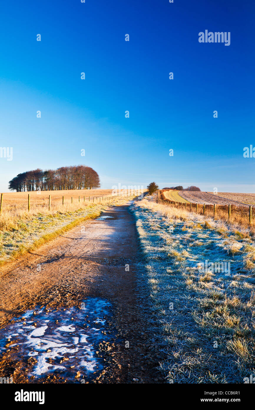 Einem frostigen Wintermorgen über die lange Distanz Ridgeway Path bei Hackpen Hill, Wiltshire, England, UK Stockfoto