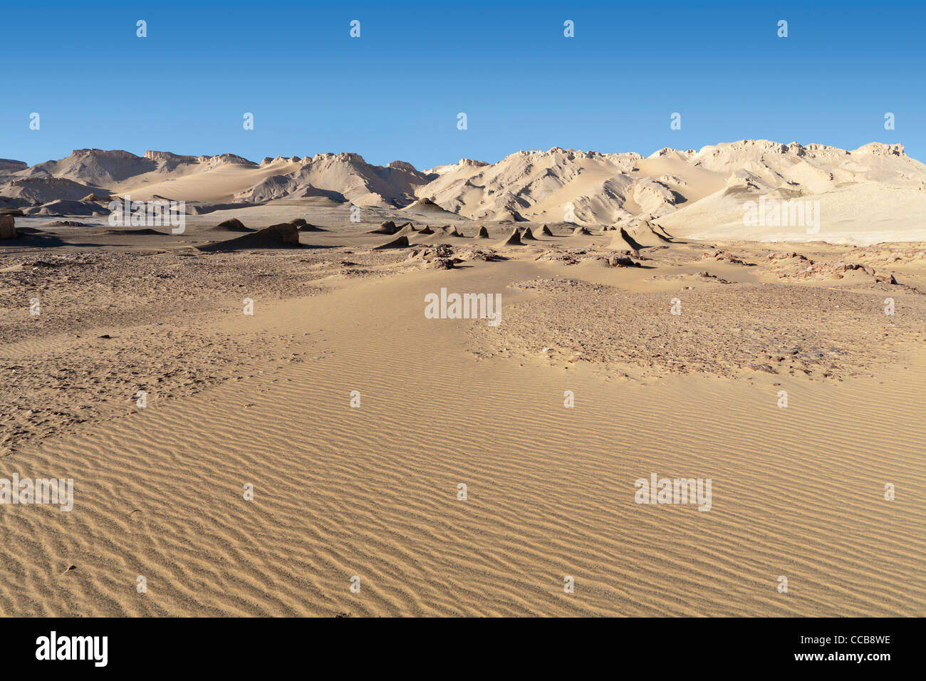 Schlamm-Löwen in Yardang-Feld in der Nähe der Böschung in Dakhla Oase Ägypten Afrika Stockfoto