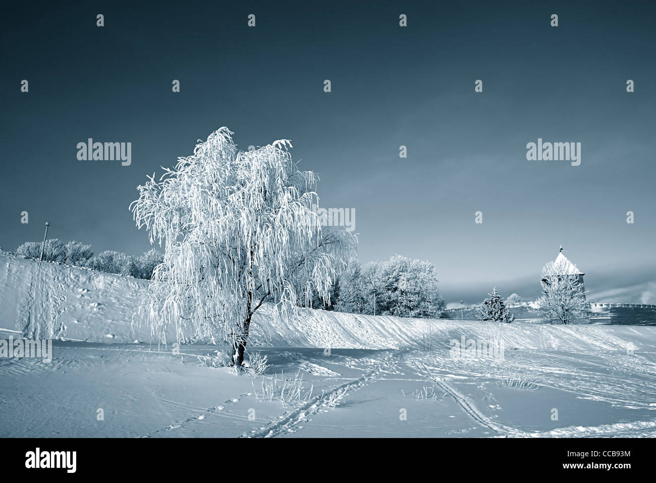 Baum im Schnee Stockfoto