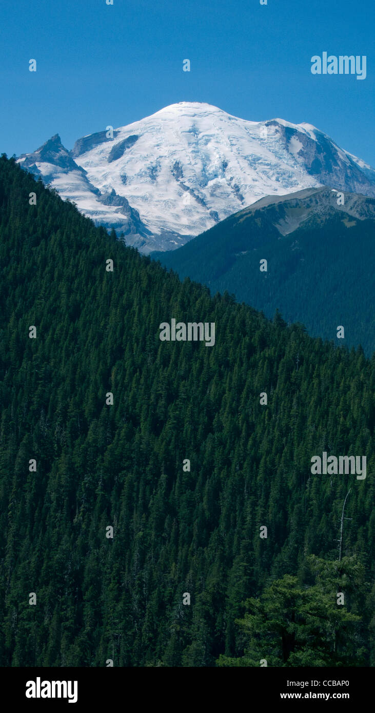 Mount Rainier, Washington State gesehen aus dem Osten. Stockfoto