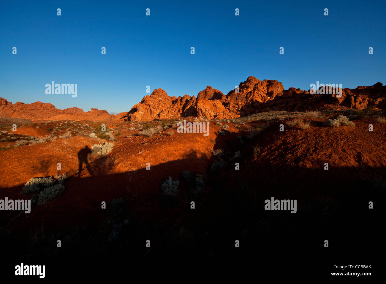 Des Fotografen Schatten in den Morgen im Valley of Fire State Park in Nevada. Stockfoto