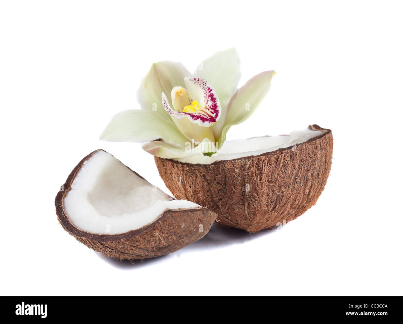 Kokosnuss und Blume Stockfotografie - Alamy