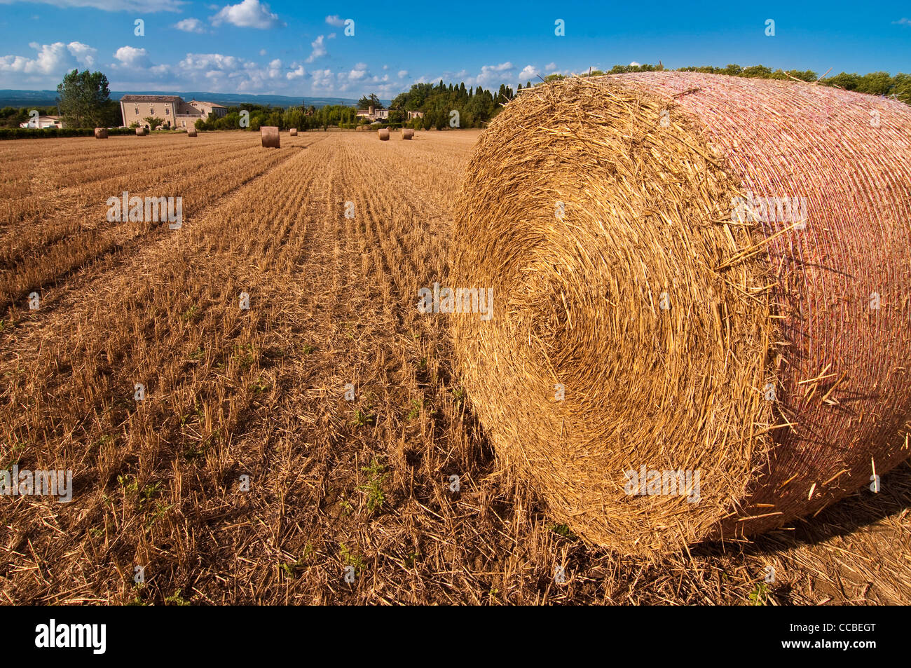 Heu-Rick während der Ernte im Süden von Frankreich Stockfoto