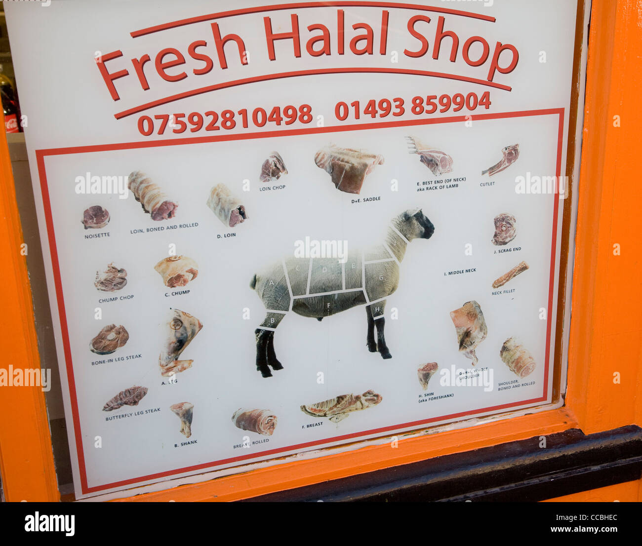 Frische Halal Metzger Shop Schaffleisch schneidet Plakat Stockfoto