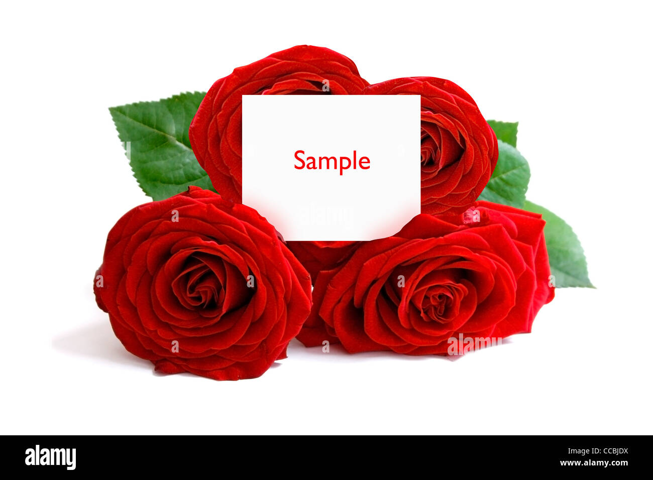 Ein Rosenstrauß mit einer Grußkarte Stockfoto