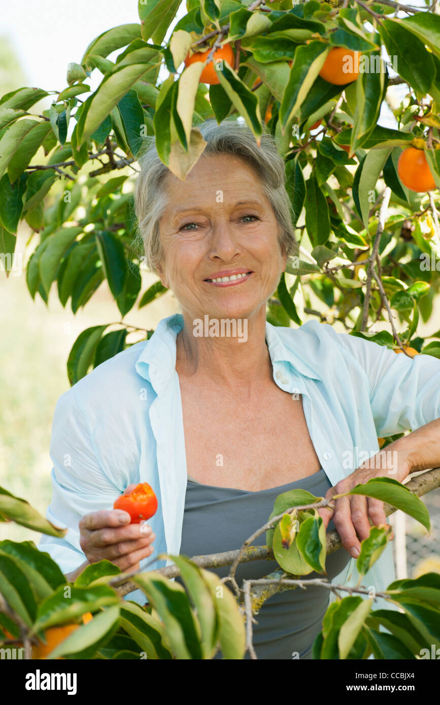 Ältere Frau lächelnd unter Persimone Baum, Porträt Stockfoto