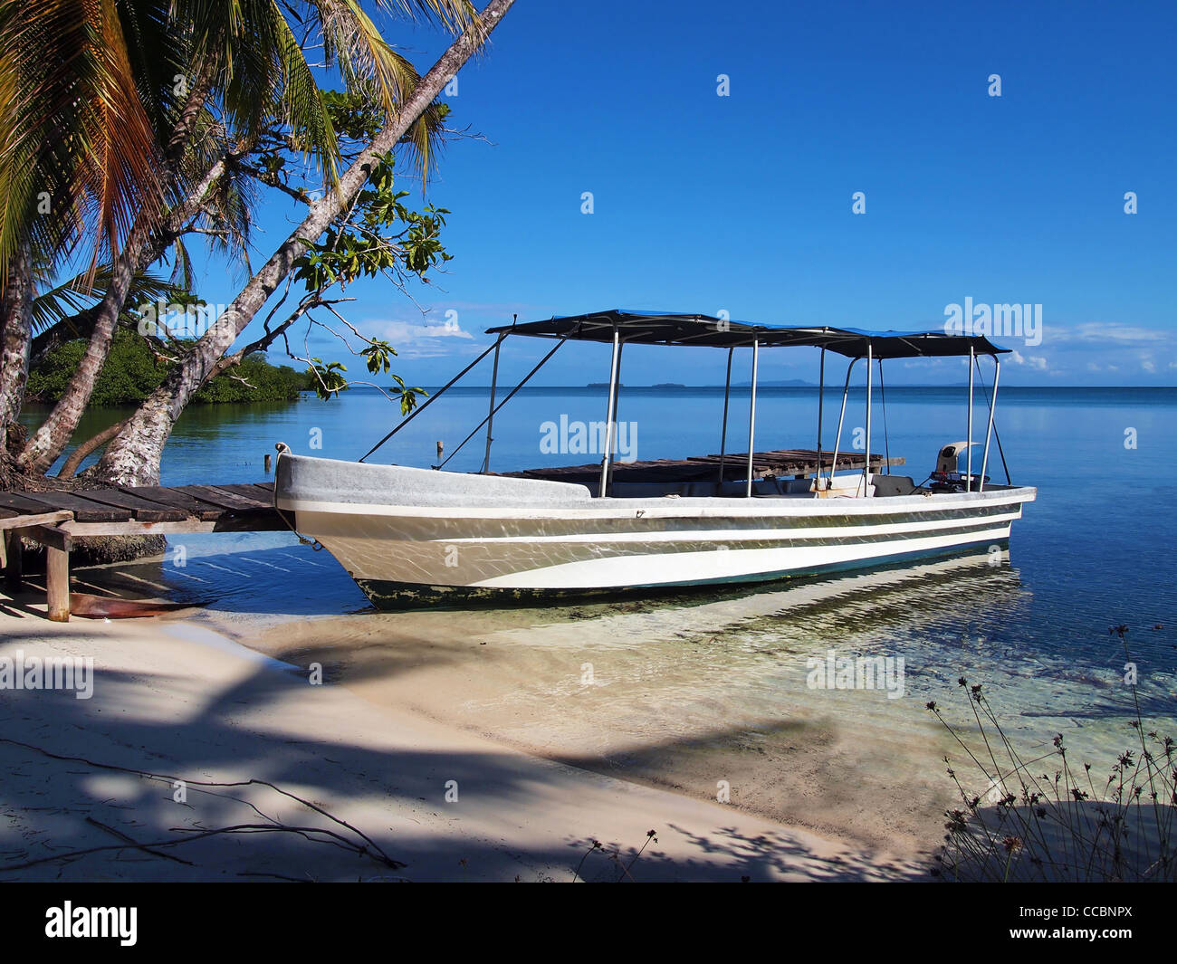 Tropischer Strand mit einem Boot am Dock und Kokosnüsse Bäume Schatten, Bocas del Toro, Karibik, Panama Stockfoto
