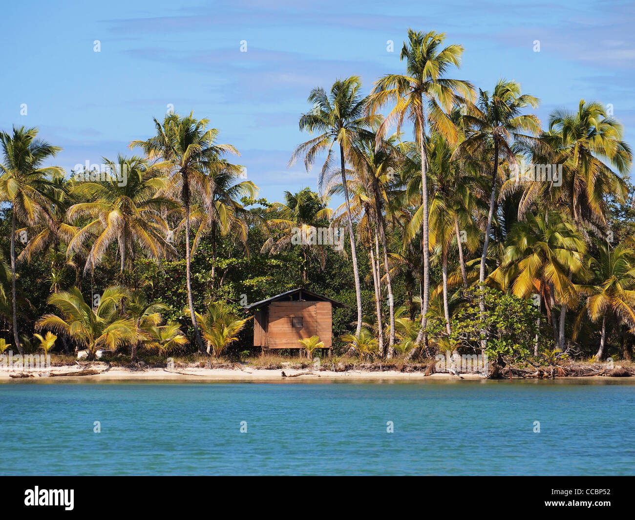 Schöne Palmen am tropischen Strand mit einer Hütte, Karibik Stockfoto