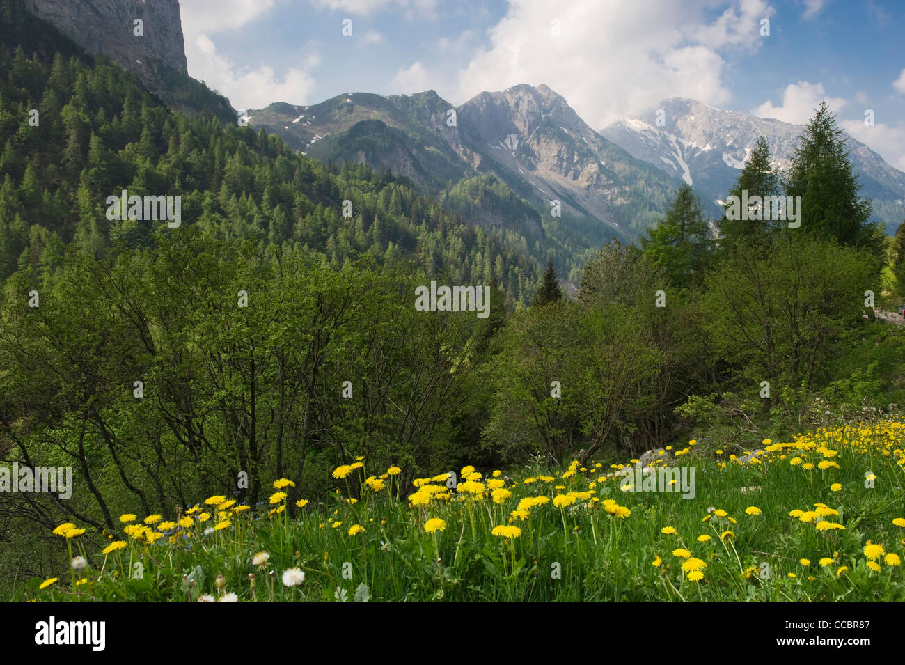 orobischen Alpen in der Nähe von Baite di Mezzeno, Roncobello, Italien Stockfoto